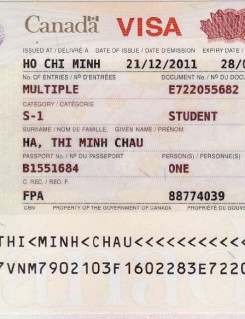 Visa Du Học Sinh S-1