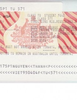 Visa Nguyễn Phương Anh