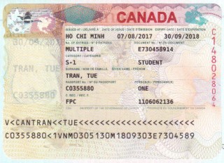 VISA TRẦN TUỆ