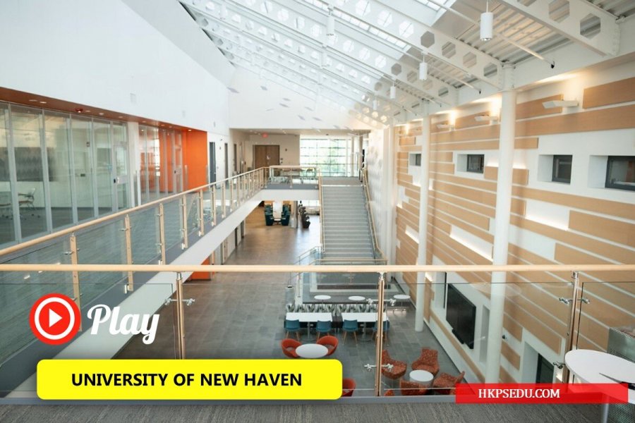 UNIVERSITY_OF_NEW_HAVEN.003_XS