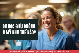 HỌC NGÀNH ĐIỀU DƯỠNG ( Y TÁ) Ở MỸ NHƯ THẾ NÀO? VĂN BẰNG GÌ MỚI ĐƯỢC HÀNH NGHỀ ĐIỀU DƯỠNG Ở MỸ?